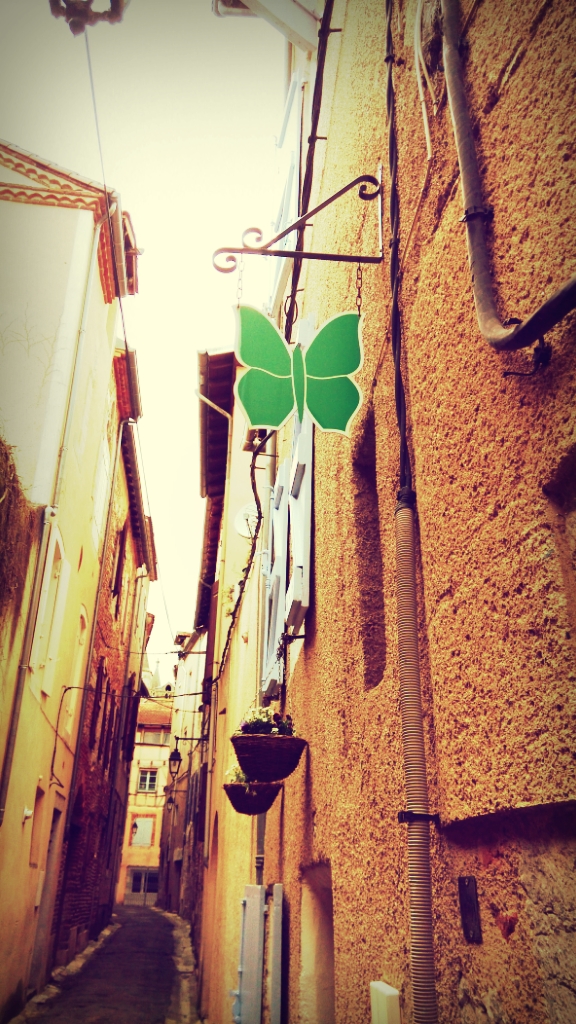 Gîte pèlerin du Papillon Vert photo 1